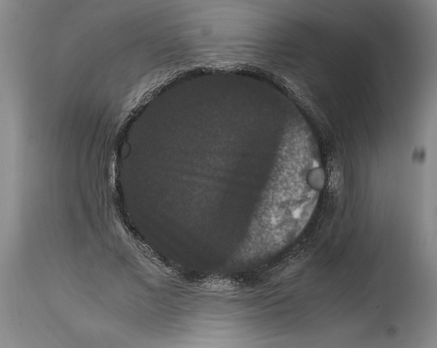 X0000114620685200911171058