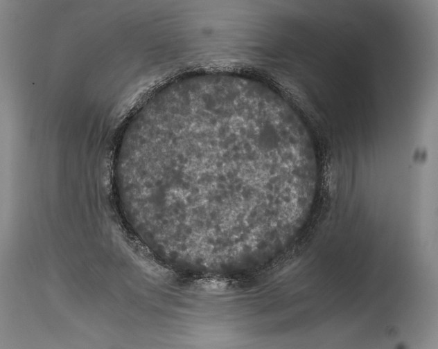 X0000114620687200911171058