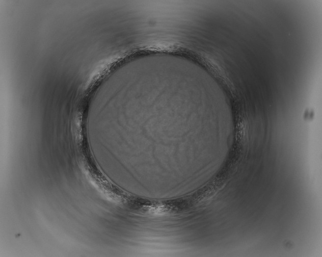 X0000114620688200911171058