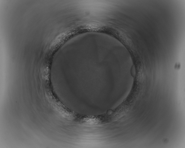 X0000114620689200911171058