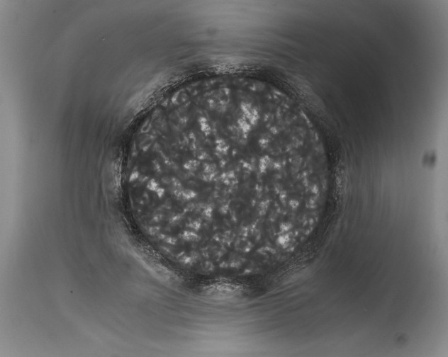 X0000114620691200911171058