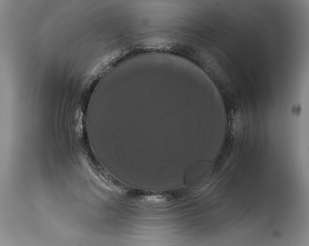 X0000114620692200911171058