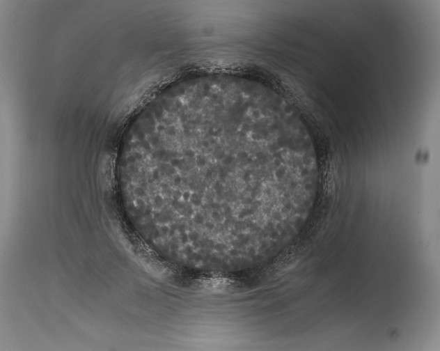 X0000114620695200911171058