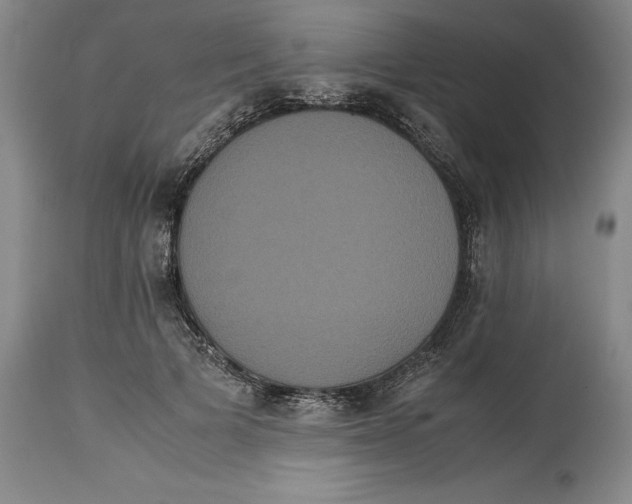 X0000114620697200911171058