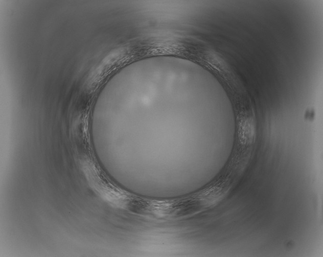 X0000114620701200911171057