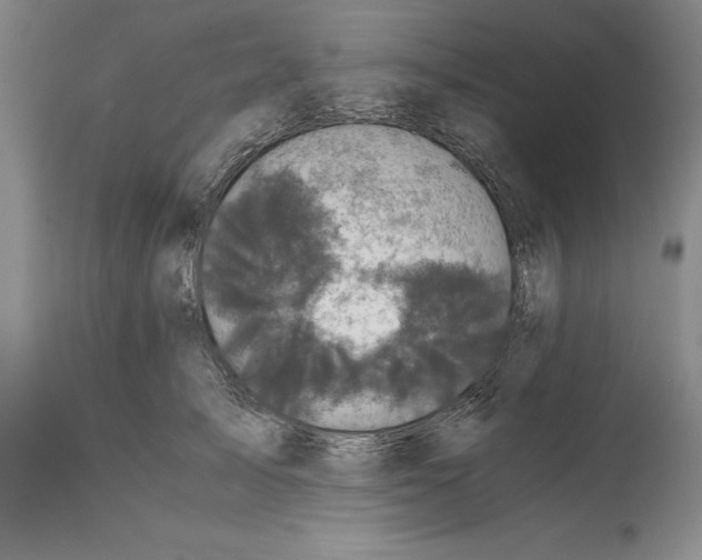 X0000114620705200911171057