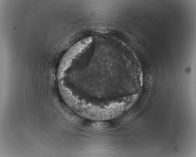 X0000114620707200911171057