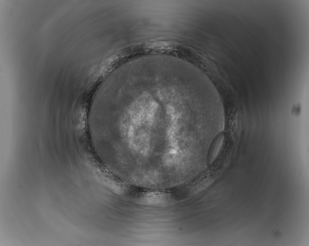 X0000114620708200911171057