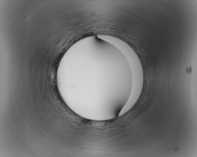 X0000114620709200911171057