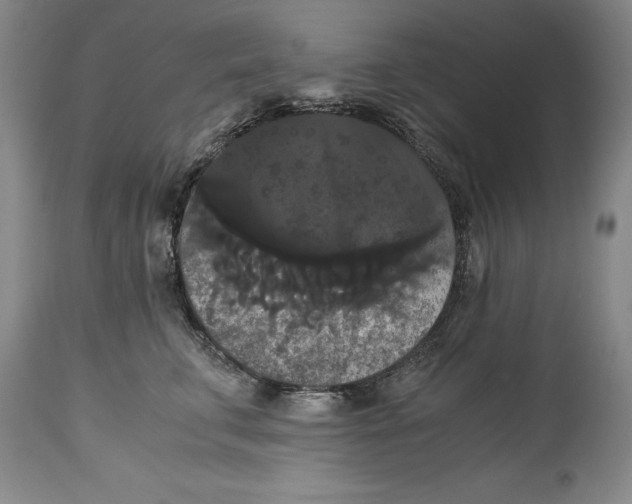 X0000114620711200911171057