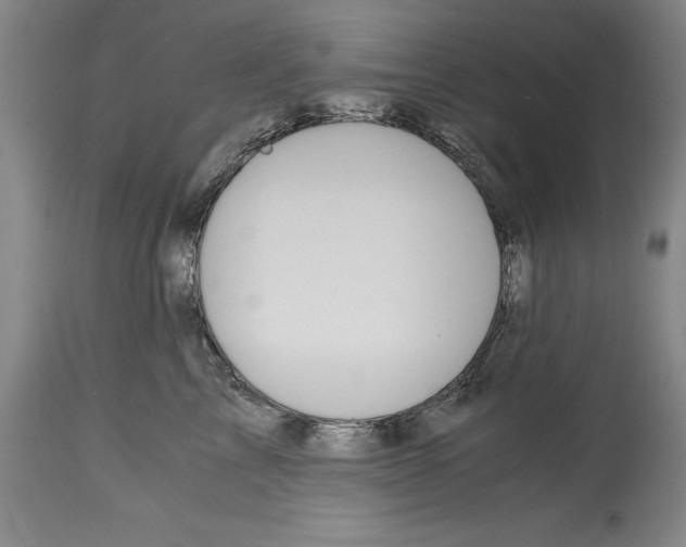 X0000114620713200911171057