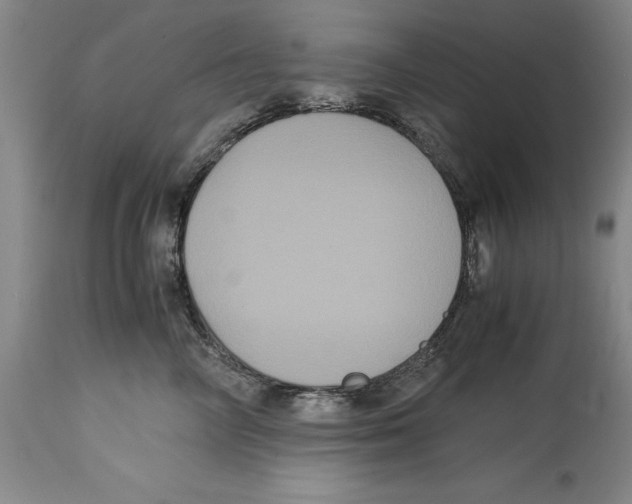 X0000114620714200911171057