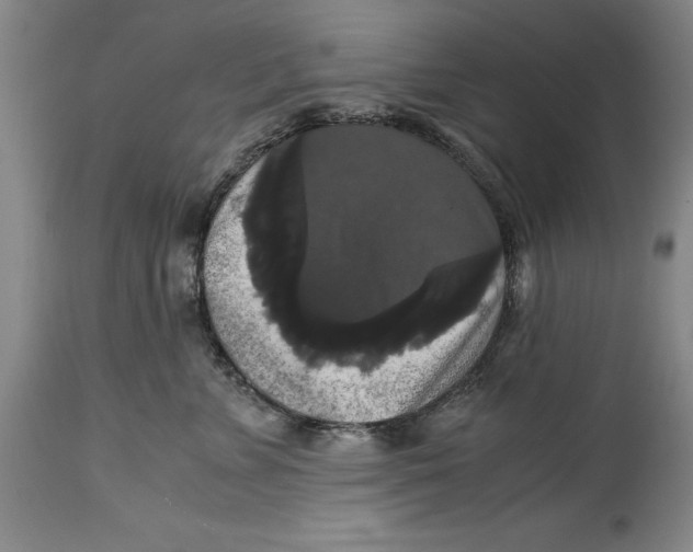 X0000114620715200911171057