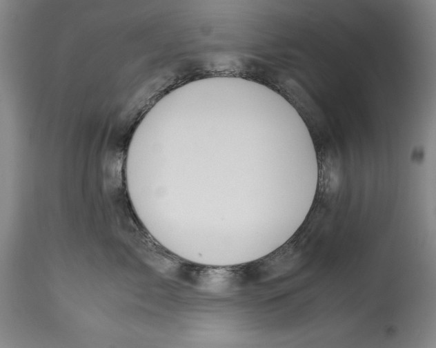 X0000114620717200911171057