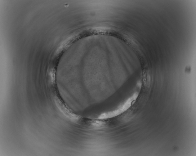 X0000114620718200911171057