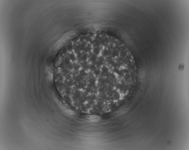 X0000114620719200911171057