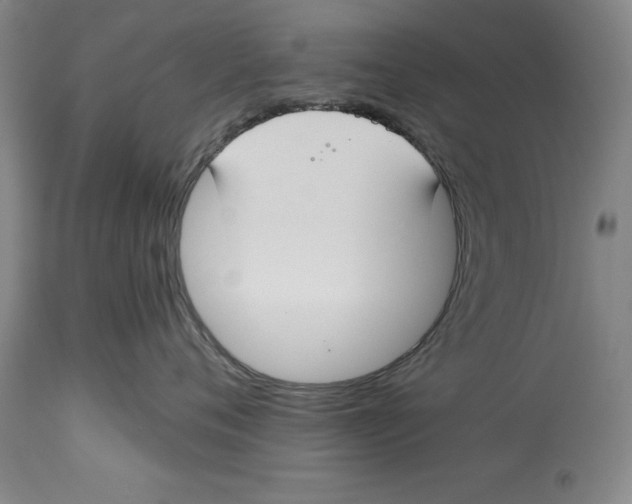 X0000114620720200911171057