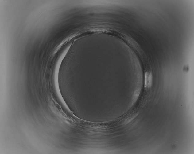 X0000114620723200911171057