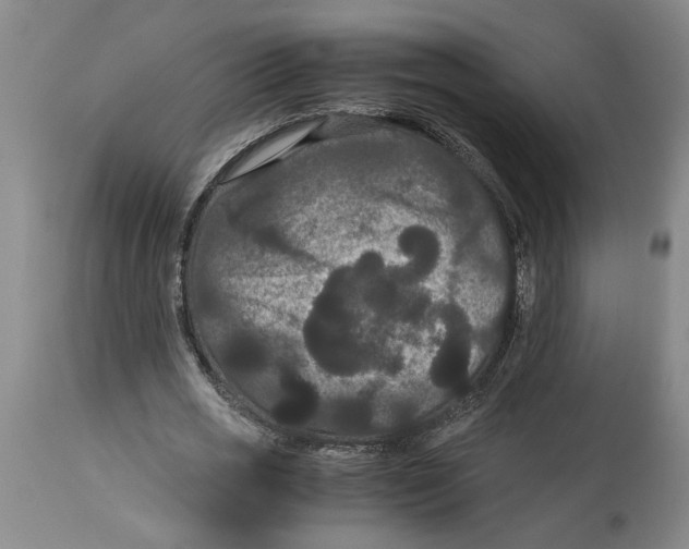 X0000114620725200911171057