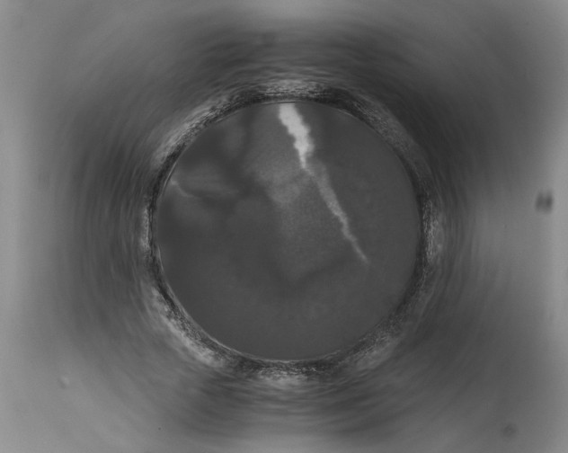 X0000114620729200911171057