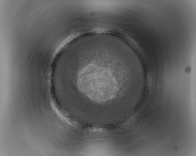 X0000114620730200911171057