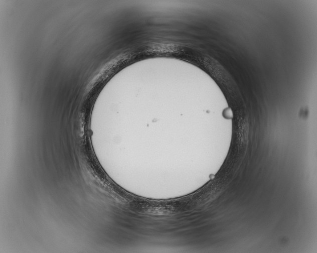 X0000114620731200911171057