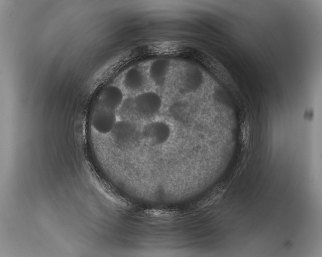 X0000114620733200911171057