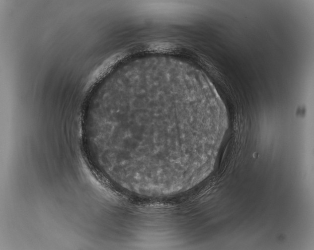 X0000114620734200911171057