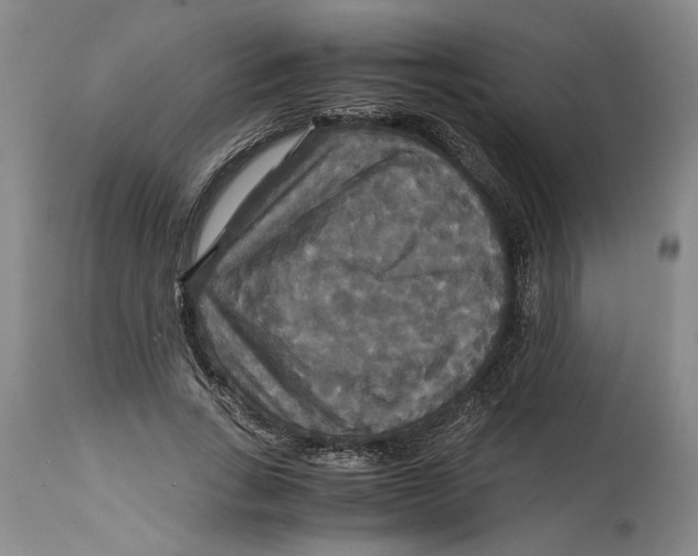 X0000114620735200911171057