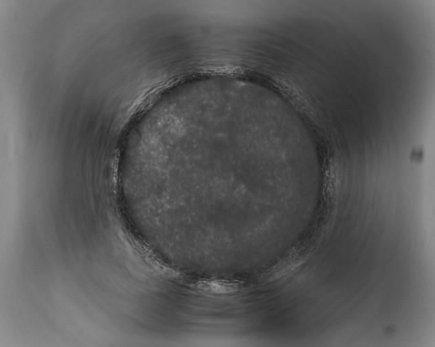 X0000114620739200911171057