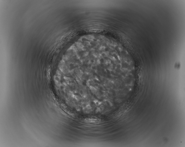 X0000114620745200911171057