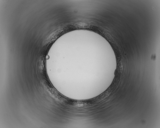 X0000114620746200911171057