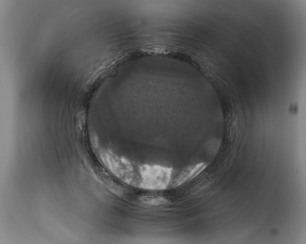 X0000114620747200911171057