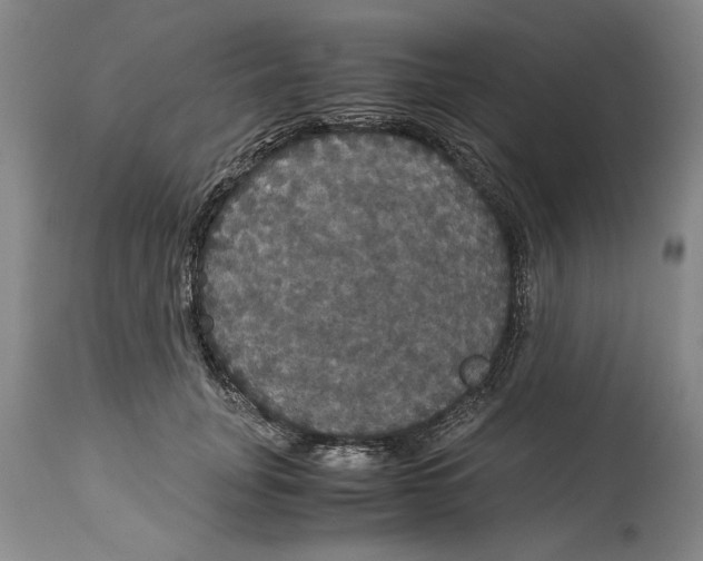 X0000114620751200911171057