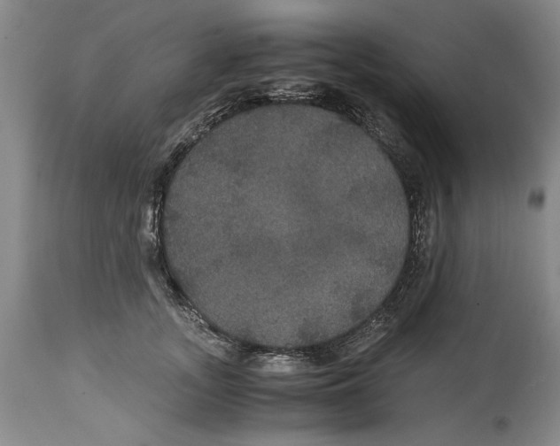 X0000114620755200911171057