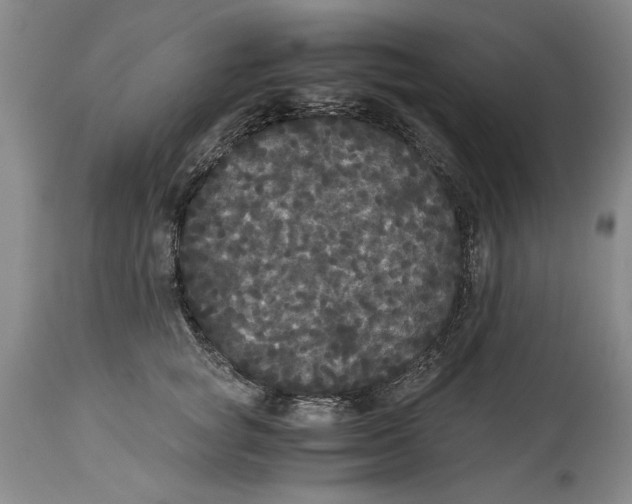 X0000114620757200911171057