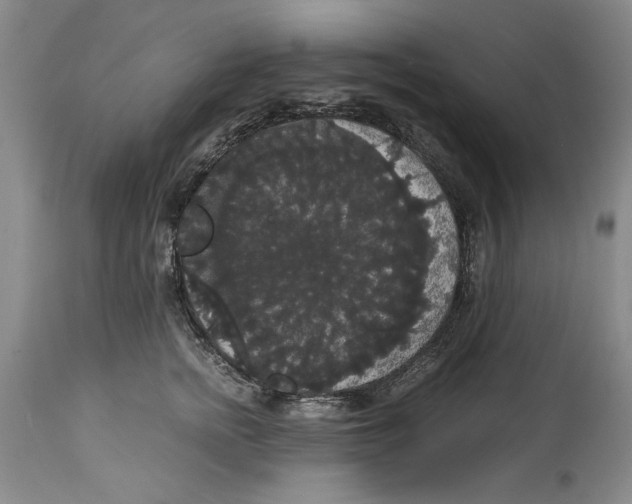 X0000114620758200911171057