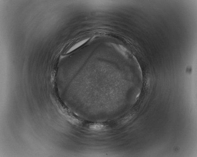 X0000114620759200911171057