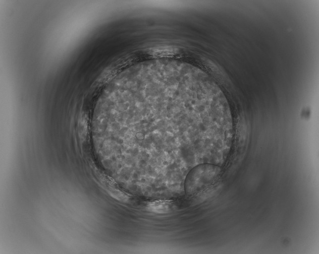 X0000114620761200911171057