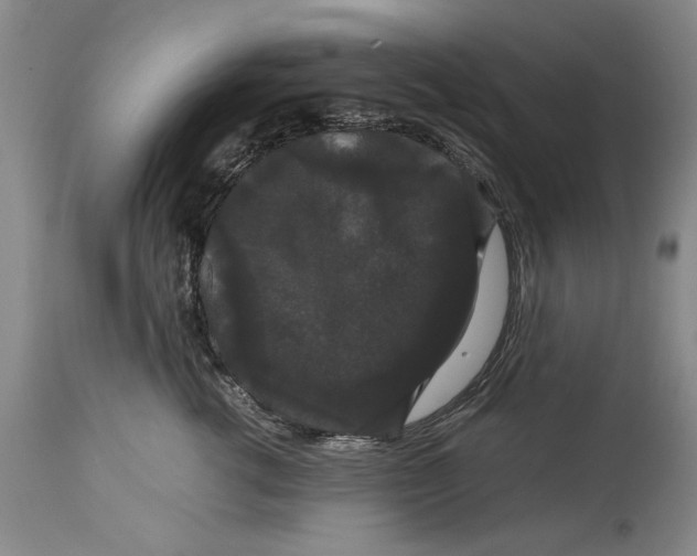 X0000114620762200911171057