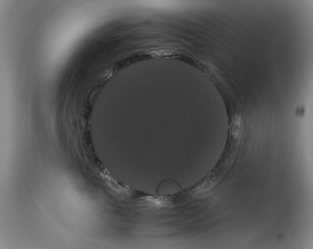 X0000114620763200911171057