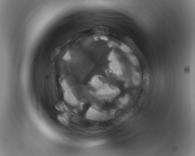 X0000114620765200911171057