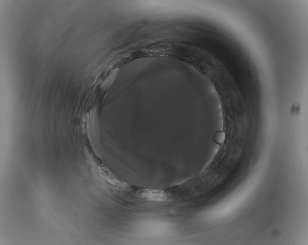 X0000114620767200911171057