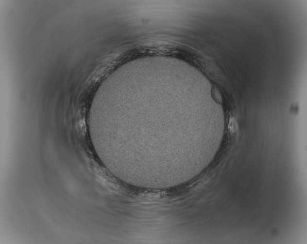 X0000114620771200911171056