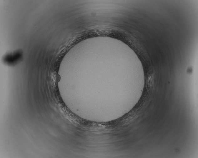 X0000114620772200911171056