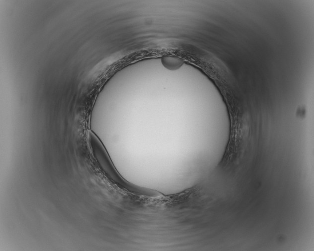 X0000114620773200911171056