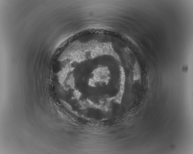 X0000114620775200911171056