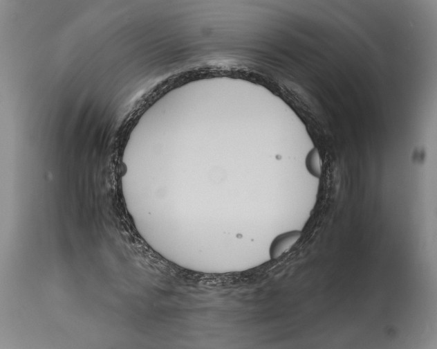 X0000114620776200911171056