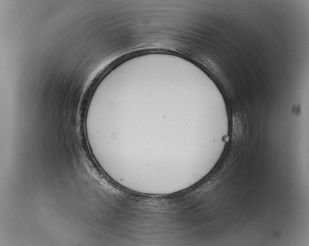 X0000114620780200911171056