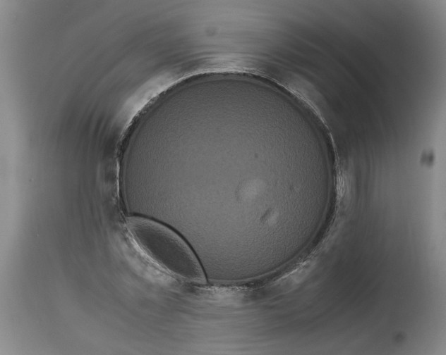 X0000114620781200911171056